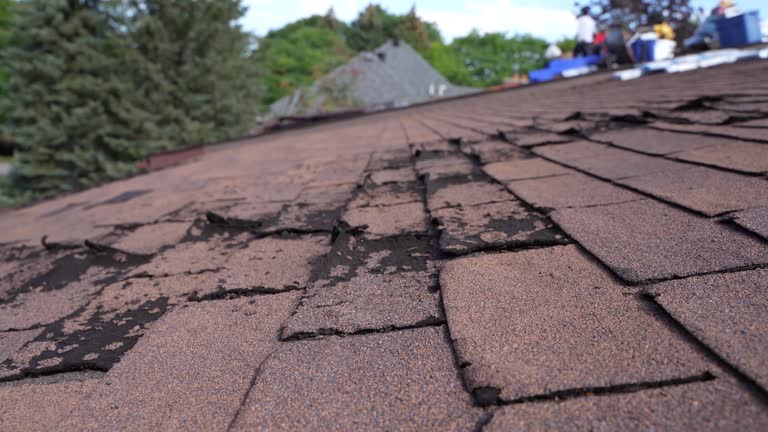 Best Storm Damage Roof Repair  in Parlier, CA